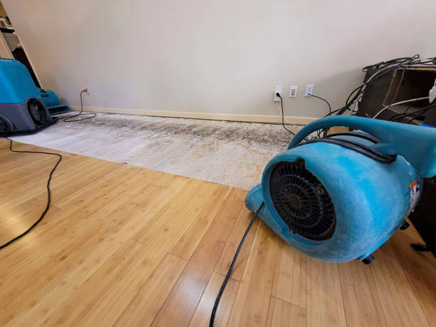 Professional Burst Pipe Water Damage technician working in Ellijay, GA